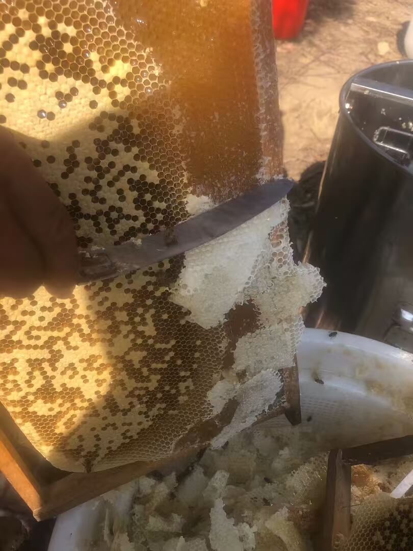 蜂蜜 · 蜂箱直取
